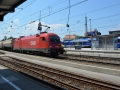 03 Eisenbahnfreunde Kraichgau Chiemsee Taurus ÖBB 1116 2