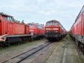 DB Fahrzeuginstandhaltung Friedhof 2